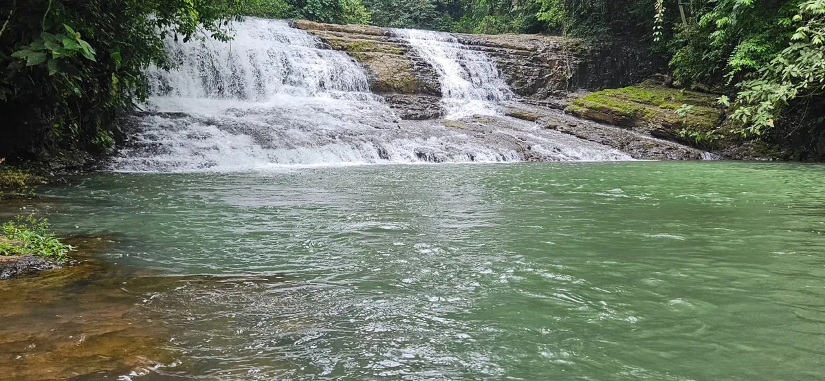 Calm river pool below Coyote Waterfall