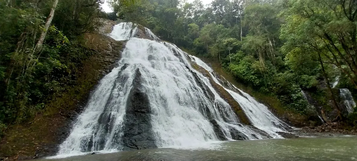 Jaguar Waterfall pouring into its natural pool