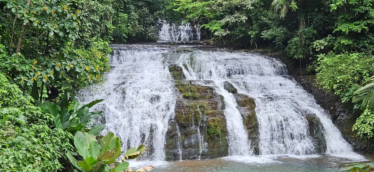 Sutton Waterfall inside the private rainforest reserve