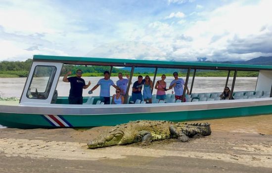 Crocodile-Tarcoles-River-Tours-Jaco-Costa-Rica-6