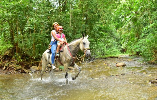 Horse-Tours-Costa-Rica-Jaco-Los-Suenos-2