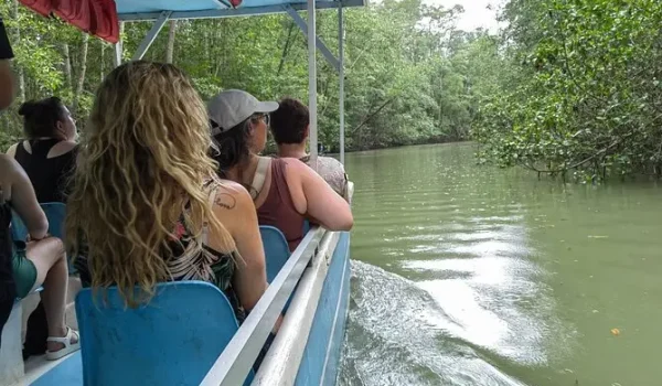 Scenic view of the mangrove forest at Damas Island, taken from a boat during a Jaco monkey mangrove tour in Costa Rica