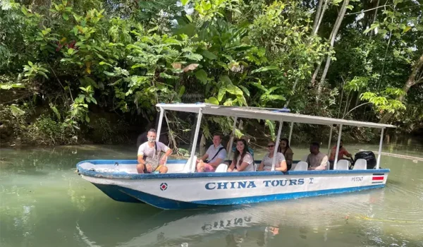 Tourists enjoying a guided boat ride through the serene mangrove canals, spotting local wildlife